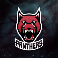 All in Panthers
