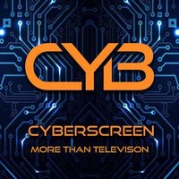 Cyberscreen Disaster