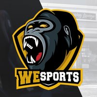 WeSports Academy