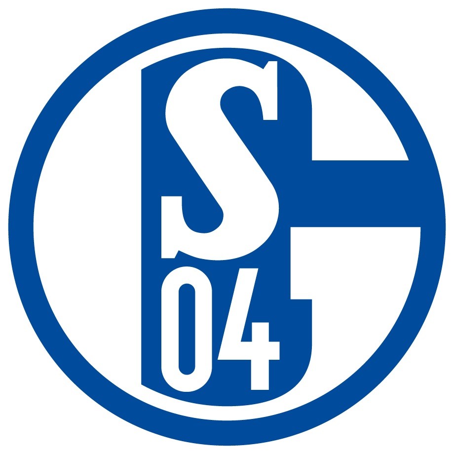 Schalke 04 Evolution