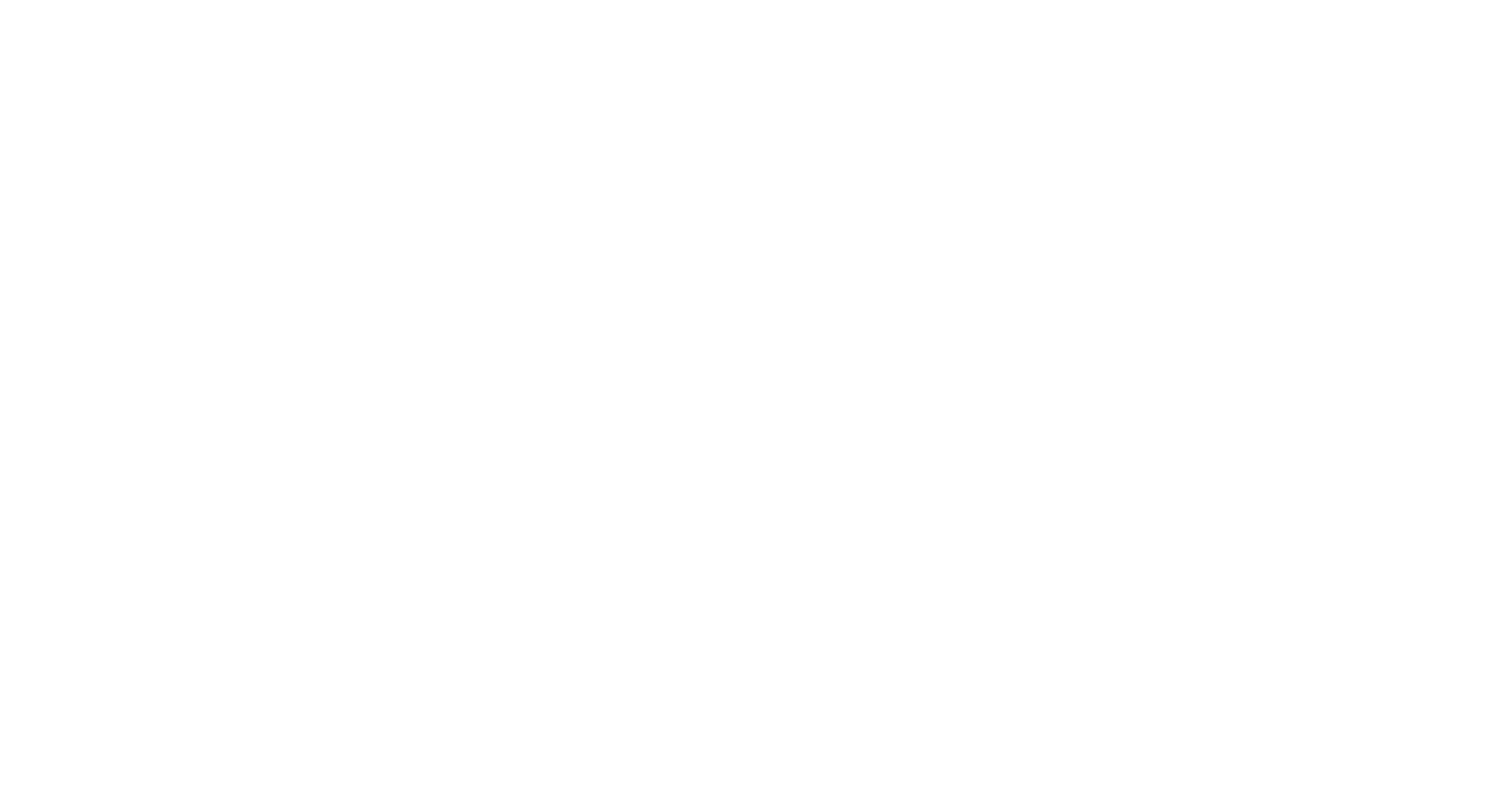 AORUS (Light)