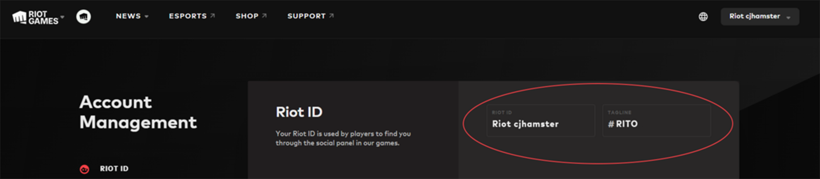 Das Bild zeigt die geöffneten Accounteinstellungen auf der Website von Riot Games. Die Riot ID und der Tag des Accounts erscheinen ganz oben in den Einstellungen und sind rot eingekreist.