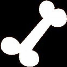 Knochen