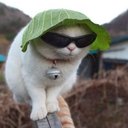 OriStillTheMain