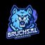 Bruchsal_Breakers