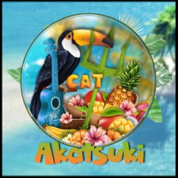 Akatsukix3