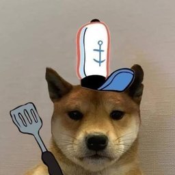 VANTANSOUPBRA