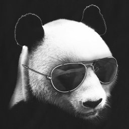 PBE Pandacheese