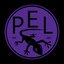 PEL_Lizard