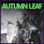 Autumn Leaf