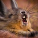 SwiftySven