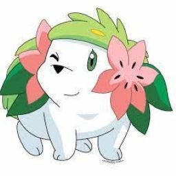 SGE Shaymin