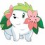 SGE Shaymin