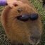 CapybaraLover69