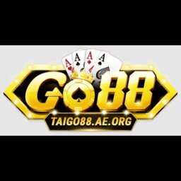 taigo88aeorg